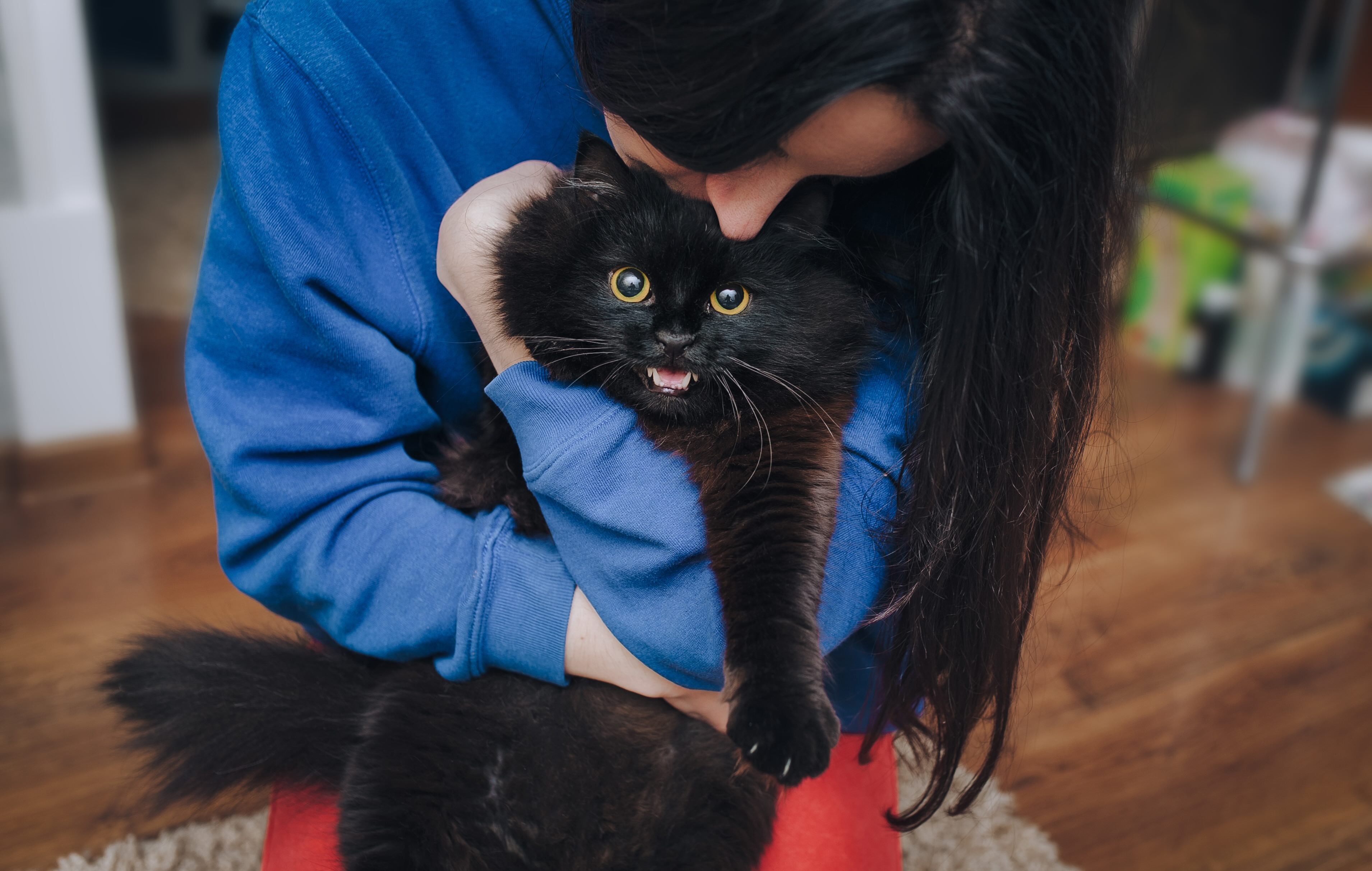 woman hugging a fluffy black cat