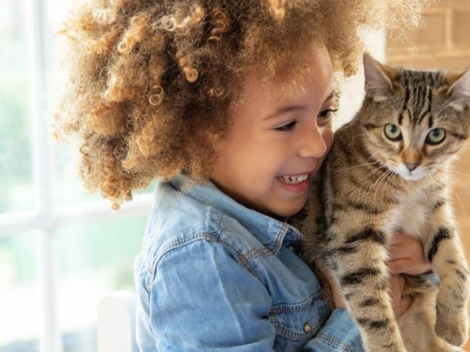 african american child holding tiger striped brown and black cat