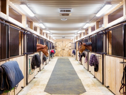 row of horses in stable