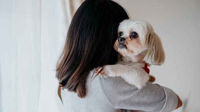 woman holding a white shih tzu dog, which is looking over her shoulder
